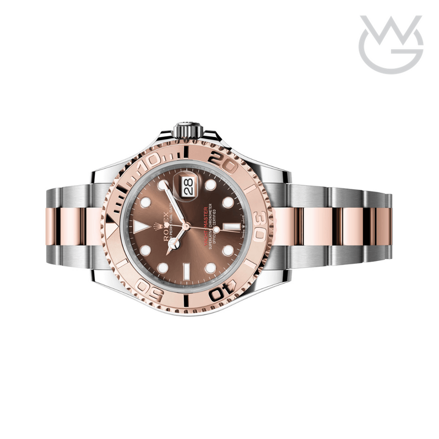 Rolex Everose Chocolate Dial